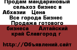 Продам мандариновый сельхоз-бизнес в Абхазии › Цена ­ 1 000 000 - Все города Бизнес » Продажа готового бизнеса   . Алтайский край,Славгород г.